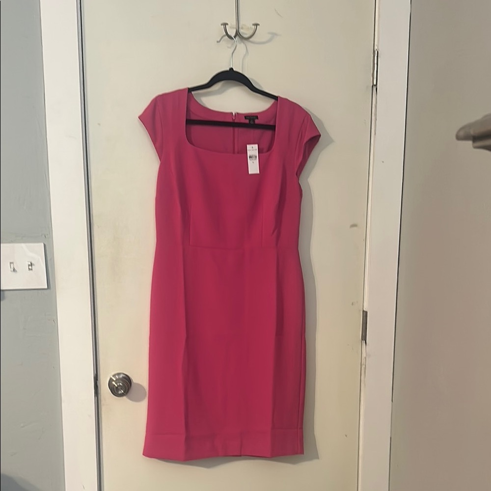 Ann Taylor Pink Sheath Dress with Cap Sleeves for Work